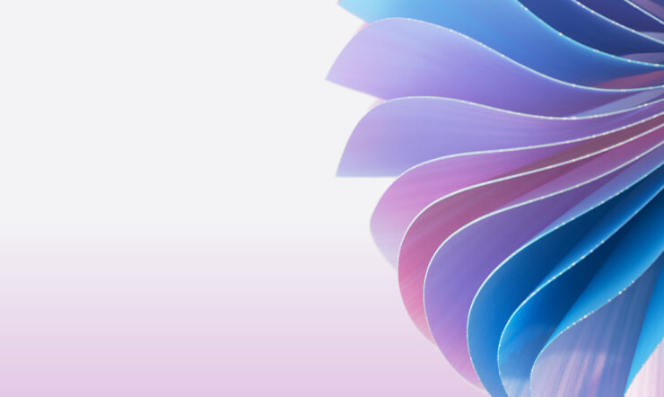 Flower with blue and purple colors